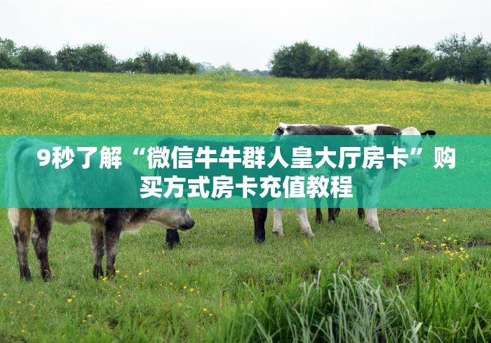 9秒了解“微信牛牛群人皇大厅房卡”购买方式房卡充值教程